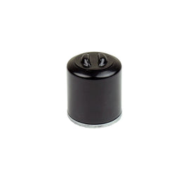 Filtri Olio Moto Athena FFP002