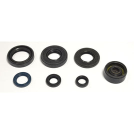 Cuscinetti e Paraoli Motore Athena P400485400089