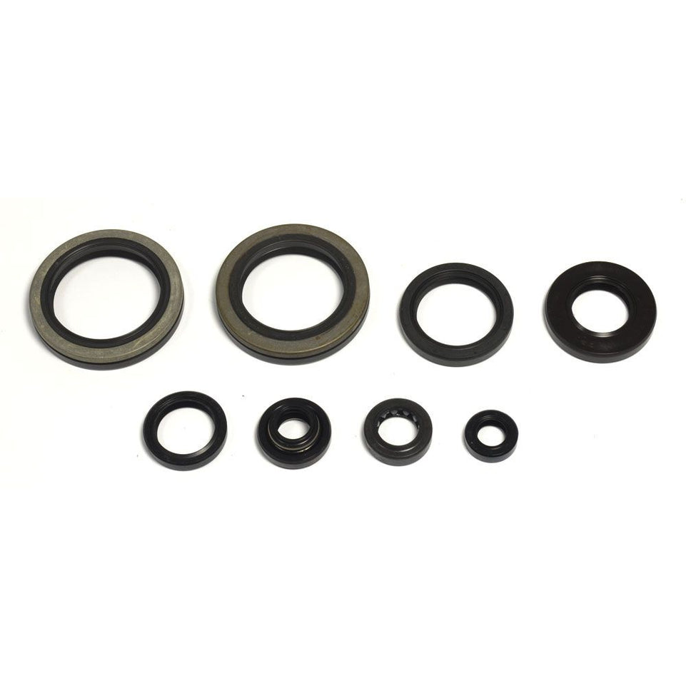 Cuscinetti e Paraoli Motore Athena P400510400252