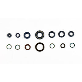 Cuscinetti e Paraoli Motore Athena P400110400101