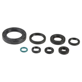 Cuscinetti e Paraoli Motore Athena P400210400252