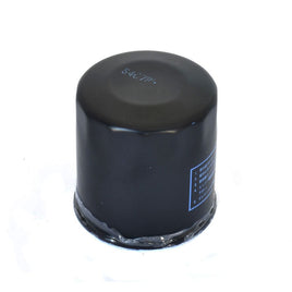 Filtri Olio Moto Athena FFP003