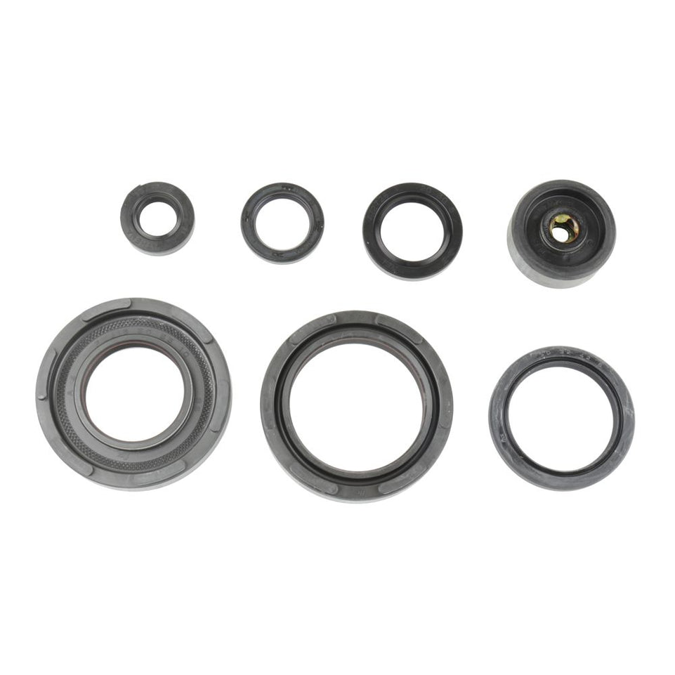 Cuscinetti e Paraoli Motore Athena P400485400253