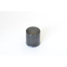 Filtri Olio Moto Athena FFP023