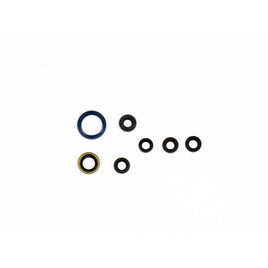 Cuscinetti e Paraoli Motore Athena P400250400066