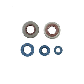 Cuscinetti e Paraoli Motore Athena P400130400210
