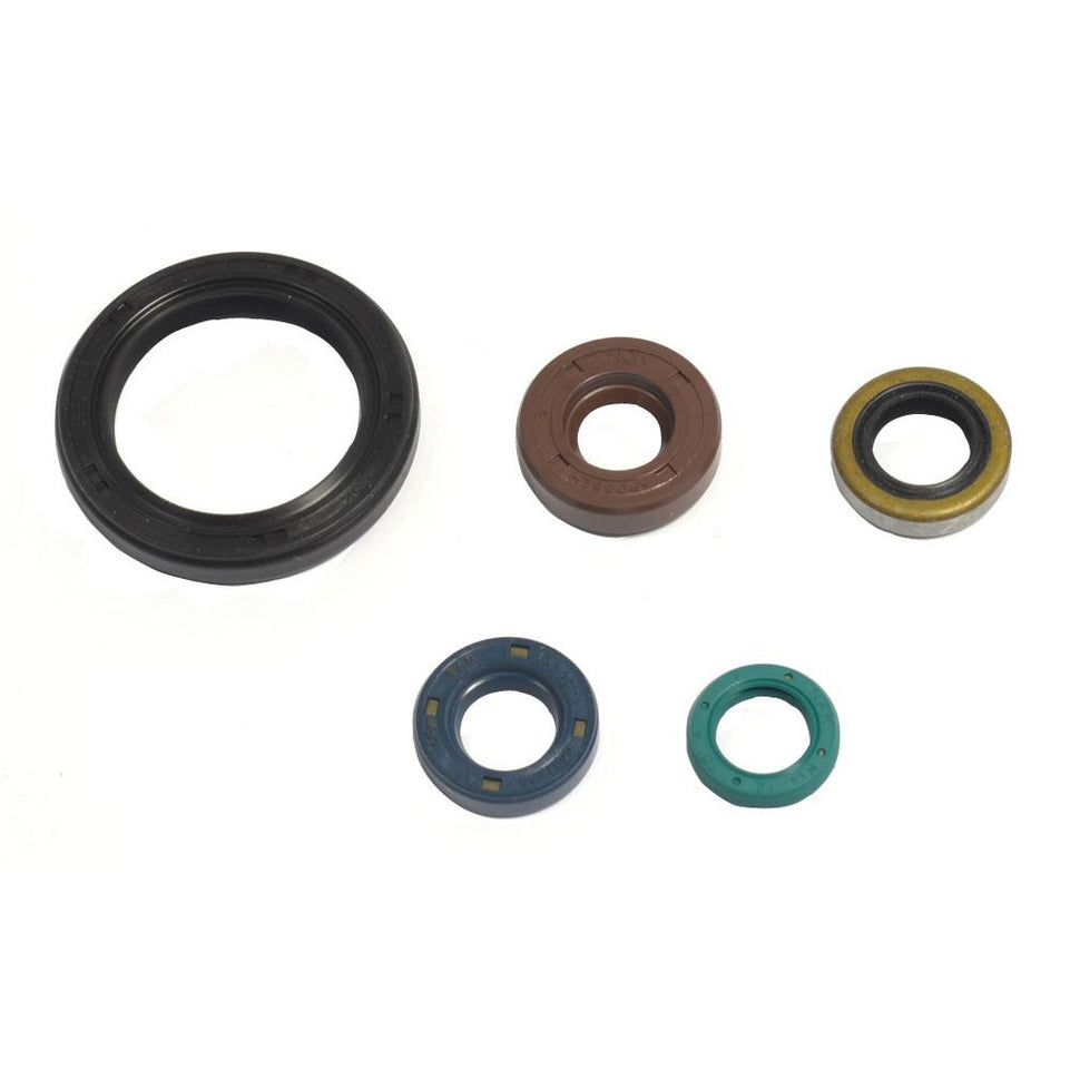 Cuscinetti e Paraoli Motore Athena P400250400049