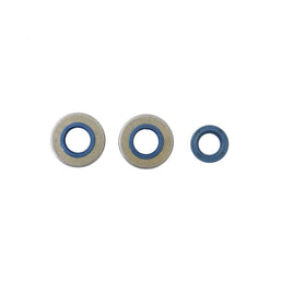 Cuscinetti e Paraoli Motore Athena P400130400060