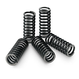 Tecnium Kit molle frizione per KAWASAKI 650 KLR 650 (KL 650 A1-A9) 1987 - 1995