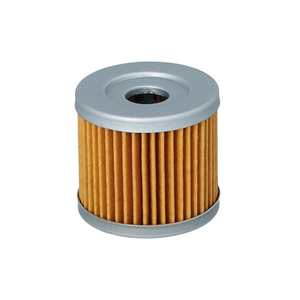 KIT TAGLIANDO MOTUL 2X 5000 10W40 + FILTRO OLIO PER BENELLI Leoncino 125 2022